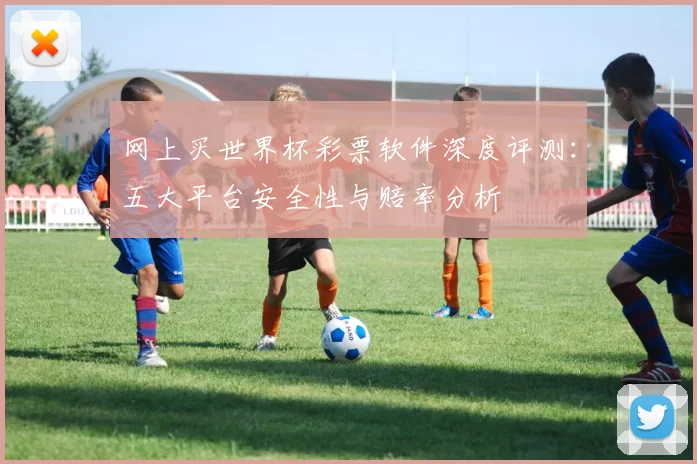 网上买世界杯彩票软件深度评测:五大平台安全性与赔率分析