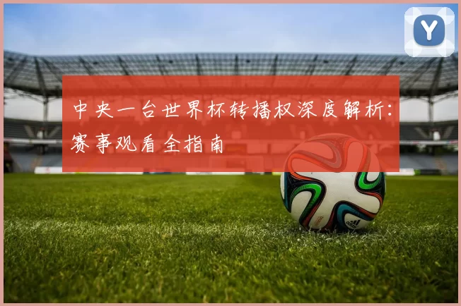 中央一台世界杯转播权深度解析：赛事观看全指南
