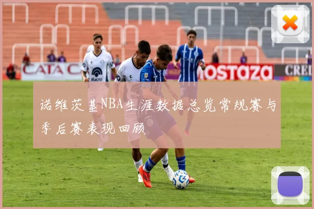 诺维茨基NBA生涯数据总览常规赛与季后赛表现回顾