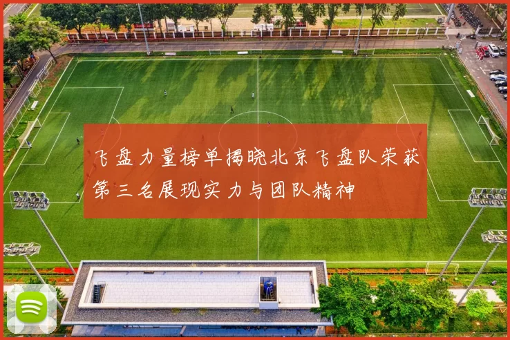 飞盘力量榜单揭晓北京飞盘队荣获第三名展现实力与团队精神
