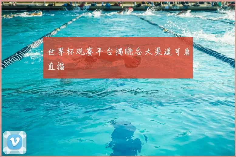世界杯观赛平台揭晓各大渠道可看直播