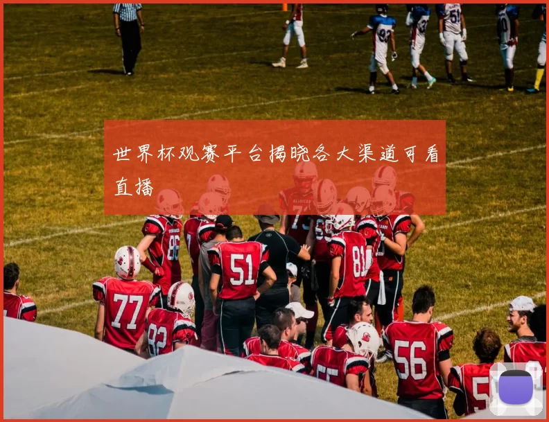 世界杯观赛平台揭晓各大渠道可看直播