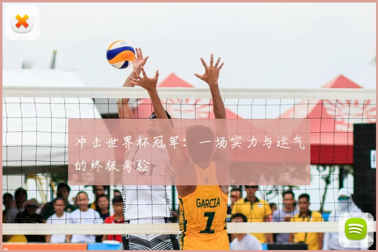 冲击世界杯冠军:一场实力与运气的终极考验