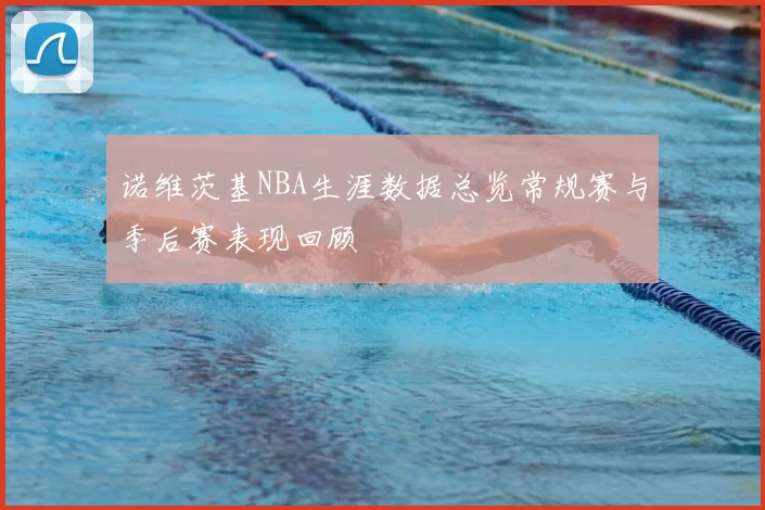 诺维茨基NBA生涯数据总览常规赛与季后赛表现回顾