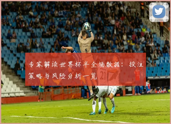 专家解读世界杯半全场数据：投注策略与风险分析一览