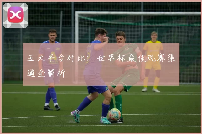 五大平台对比:世界杯最佳观赛渠道全解析