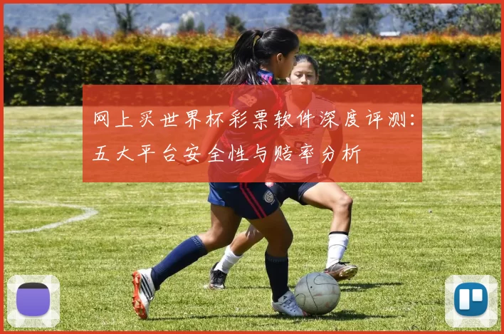 网上买世界杯彩票软件深度评测:五大平台安全性与赔率分析