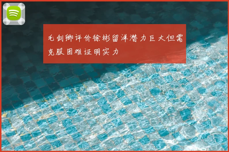 毛剑卿评价徐彬留洋潜力巨大但需克服困难证明实力