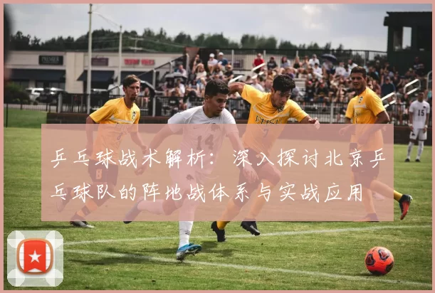 乒乓球战术解析：深入探讨北京乒乓球队的阵地战体系与实战应用