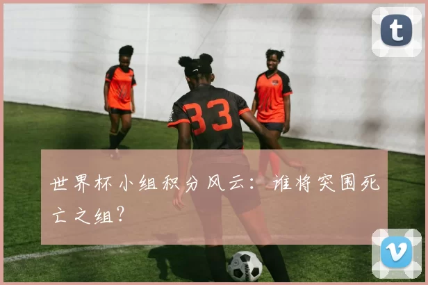 世界杯小组积分风云：谁将突围死亡之组？