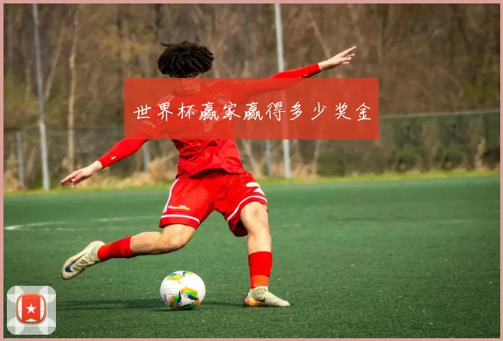 世界杯赢家赢得多少奖金